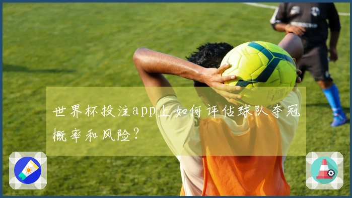 世界杯投注app上如何评估球队夺冠概率和风险？