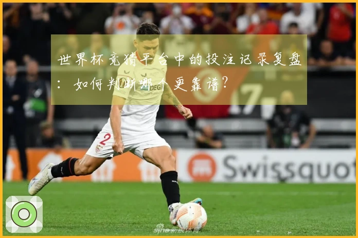 世界杯竞猜平台中的投注记录复盘：如何判断哪个更靠谱？
