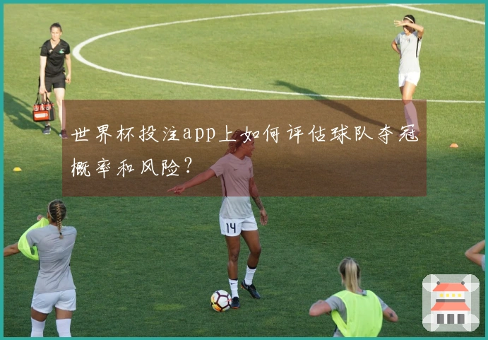 世界杯投注app上如何评估球队夺冠概率和风险？