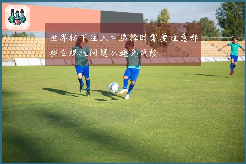 世界杯下注入口选择时需要注意哪些合规性问题以避免风险