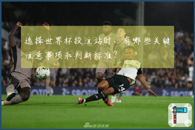 选择世界杯投注站时，有哪些关键注意事项和判断标准？