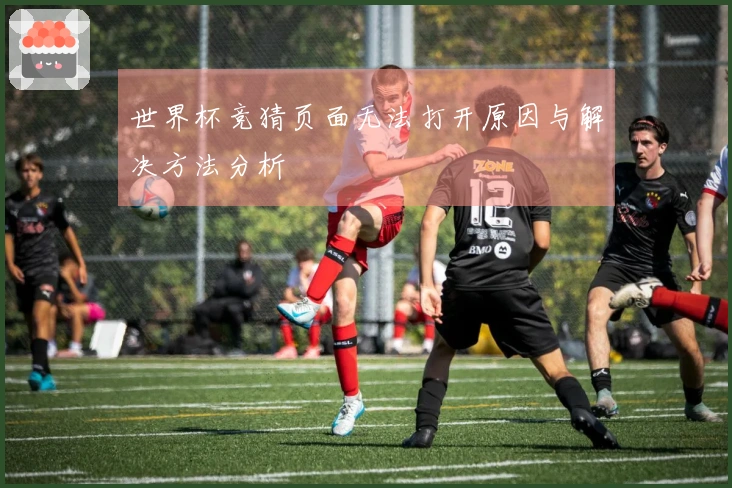 世界杯竞猜页面无法打开原因与解决方法分析