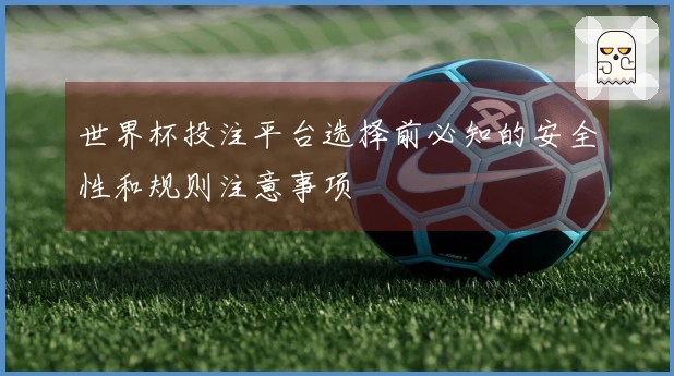 世界杯投注平台选择前必知的安全性和规则注意事项