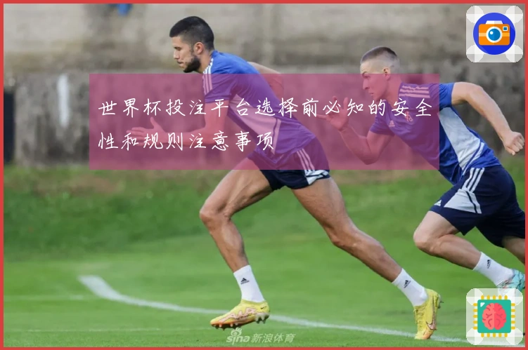 世界杯投注平台选择前必知的安全性和规则注意事项